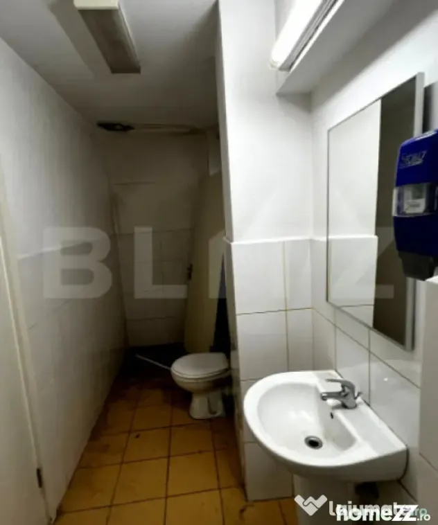 Spațiu comercial de închiriat, 195 mp utili, 500 mp teren, - Alba Iulia (Alba)