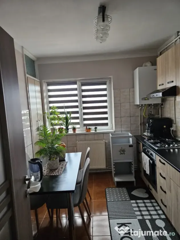 Apartament de vanzare, 2 camere, 56 mp, Terezian