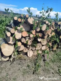 Lemn de foc esenta tare