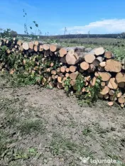 Lemn de foc esenta tare