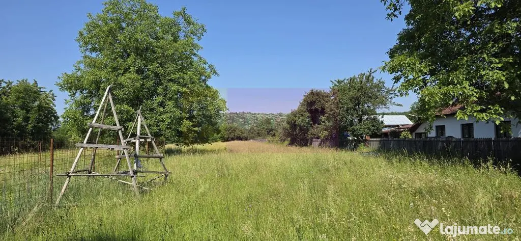 Teren intravilan 2453 mp de vanzare in Brebu