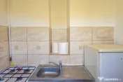 Sagului - Intrarea Raului - Apartament 2 Camere + Birou/D... 