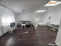 Iancului vila pet friendly etaj 3 studio