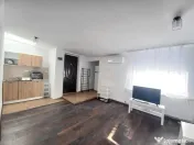 Iancului vila pet friendly etaj 3 studio 