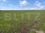Teren extravilan, 3900 mp, zona Cumparatura