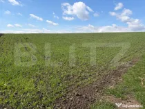 Teren extravilan, 3900 mp, zona Cumparatura
