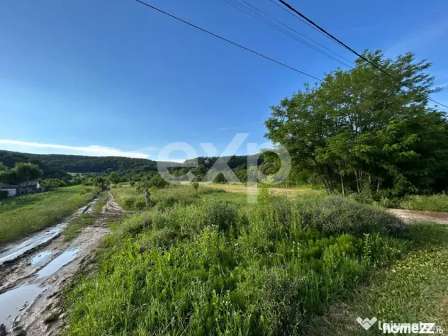 TEREN DE VANZARE OPORTUNITATE DE INVESTITIE - Mioveni (Arges)
