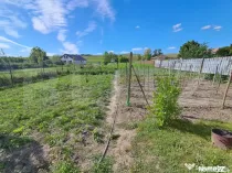 Teren intravilan, 2204 mp, zona Nazna