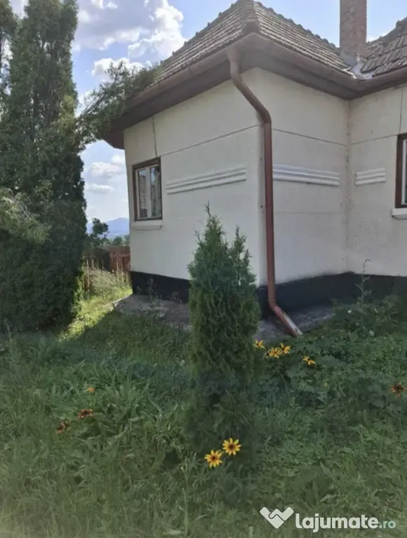 Casa cu curte mare Toplita