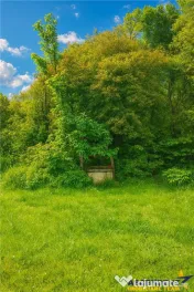 Domeniu verde autentic, 5.000mp, front la DJ, Valcele, Bra