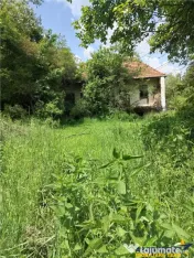 Domeniu verde autentic, 5.000mp, front la DJ, Valcele, Bra