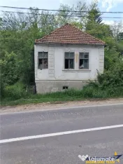 Domeniu verde autentic, 5.000mp, front la DJ, Valcele, Bra