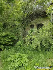 Domeniu verde autentic, 5.000mp, front la DJ, Valcele, Bra