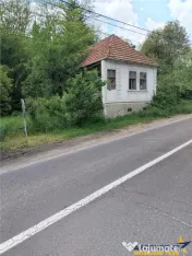 Domeniu verde autentic, 5.000mp, front la DJ, Valcele, Bra