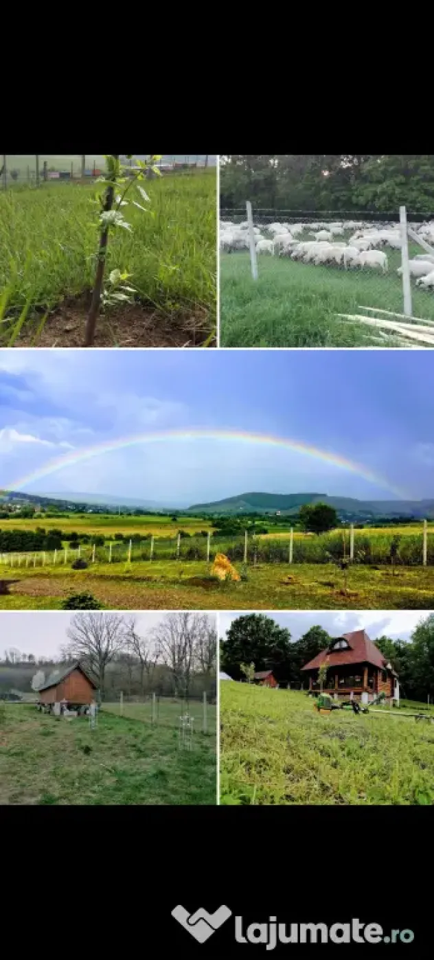 Proprietate 7.500 mp cu cabană din lemn, Leucușești – 4 min de Fălticeni