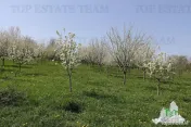 Teren intravilan, 3481mp, gaza, apa, curent din retea publi 
