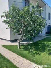 Casă modernă P+1 cu panouri fotovoltaice, mobilată și... 