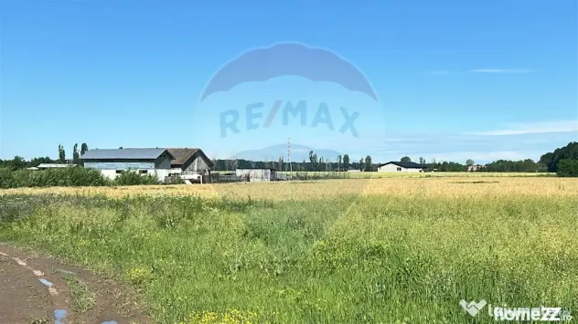 Vanzare Teren Intravilan Padure Izvorani (prin) Strada Fl...