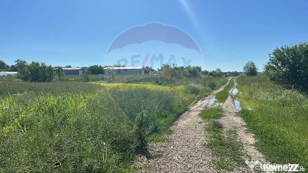 Vanzare Teren Intravilan Padure Izvorani (prin) Strada Fl...