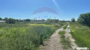 Vanzare Teren Intravilan Padure Izvorani (prin) Strada Fl... 