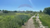 Vanzare Teren Intravilan Padure Izvorani (prin) Strada Fl...