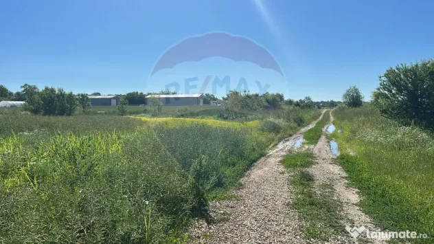 Vanzare Teren Intravilan Padure Izvorani (prin) Strada Fl...