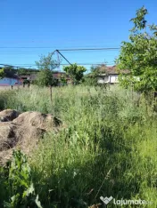 Casă de vânzare | Ceanu Mare – Liniște, natură și pri 