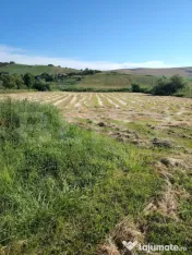 Casă de vânzare | Ceanu Mare – Liniște, natură și pri 