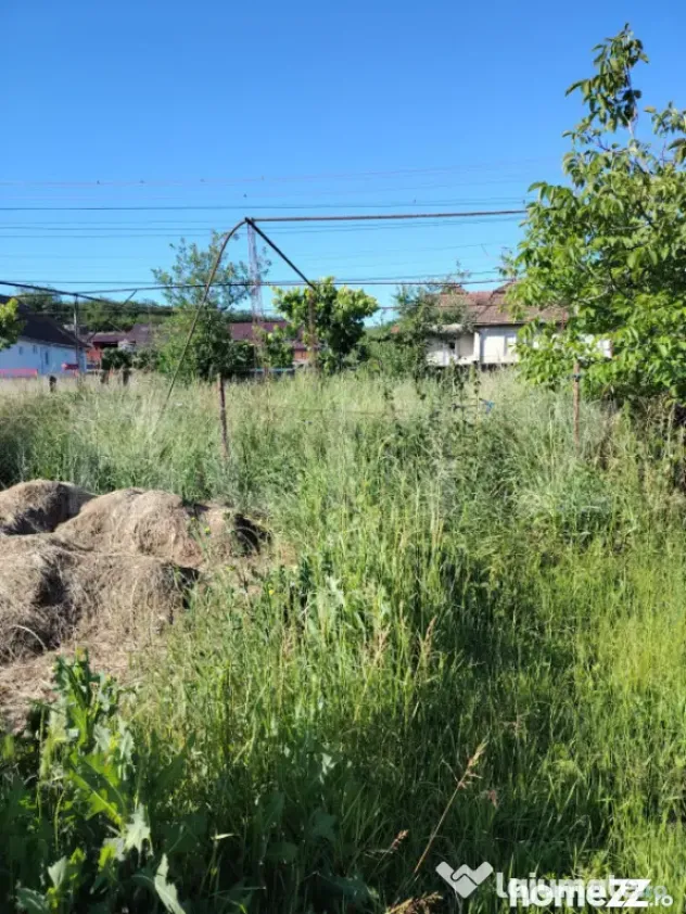 Casă de vânzare | Ceanu Mare – Liniște, natură și pri - Ceanu Mare (Cluj)
