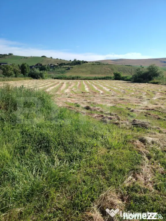 Casă de vânzare | Ceanu Mare – Liniște, natură și pri - Ceanu Mare (Cluj)