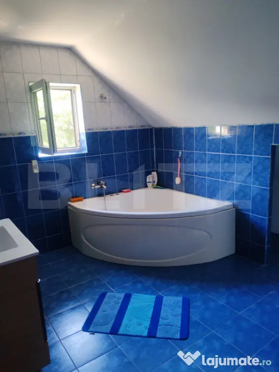 Casa 217mp, teren 1330mp, Lisaura