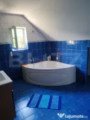 Casa 217mp, teren 1330mp, Lisaura