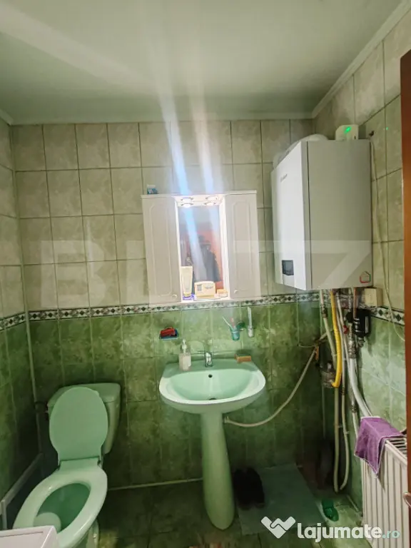 Casa 217mp, teren 1330mp, Lisaura