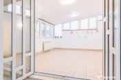 Vilă spațioasă în zona Titulescu, 14 camere 
