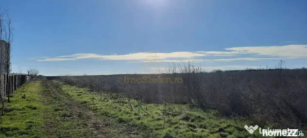 Teren Intravilan Vama Veche | 7.495 mp | Oportunitate Inv...