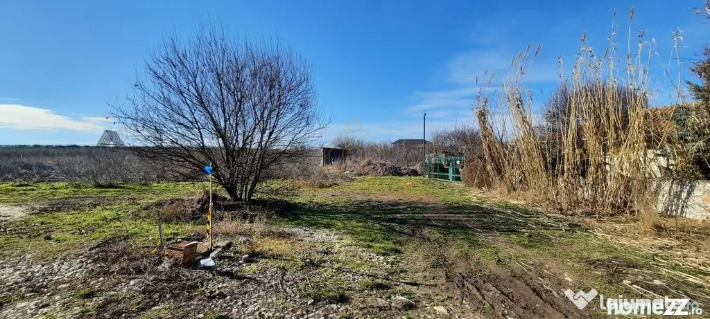 Teren Intravilan Vama Veche | 7.495 mp | Oportunitate Inv...