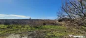 Teren Intravilan Vama Veche | 7.495 mp | Oportunitate Inv... 