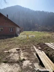 Casa cu teren Negulesti 3400mp