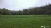 Teren intravilan la marginea râului, la doar 27 km de Deva