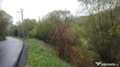 Teren intravilan la marginea râului, la doar 27 km de Deva