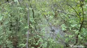 Teren intravilan la marginea râului, la doar 27 km de Deva