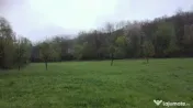 Teren intravilan la marginea râului, la doar 27 km de Deva