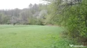 Teren intravilan la marginea râului, la doar 27 km de Deva