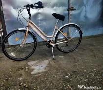Bicicleta de dama