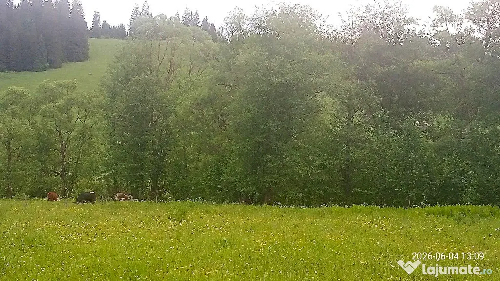 Teren la munte. Investitie de vacanta