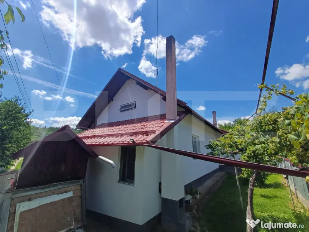 Casă de vânzare cu anexe, 35 ari teren, Adancata