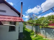 Casă de vânzare cu anexe, 35 ari teren, Adancata