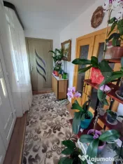 Casă de vânzare cu anexe, 35 ari teren, Adancata