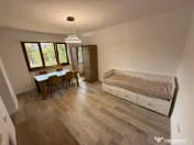 Ultracentral - vila P+1, renovata, totul nou 