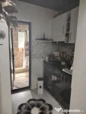 Apartament 2 camere, zona Plantelor, parter. 
